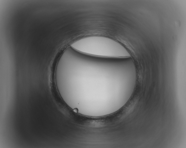 X0000102290303200807251006