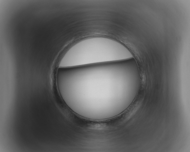 X0000102290304200807251006