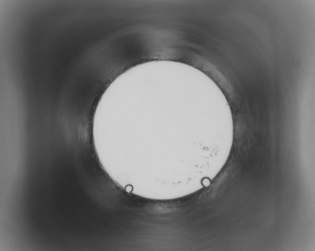 X0000102290305200807251006
