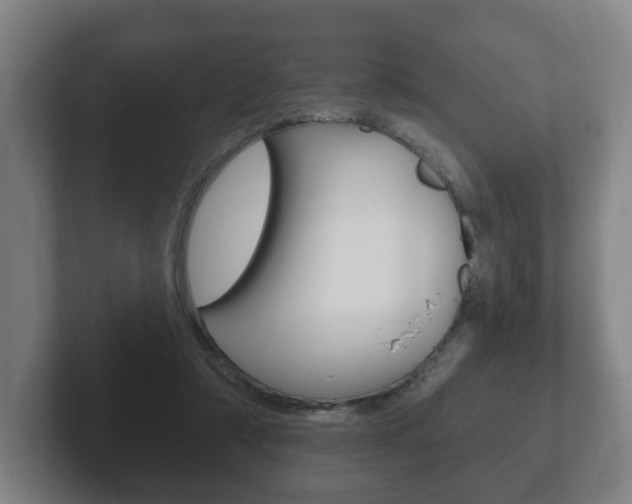 X0000102290306200807251006