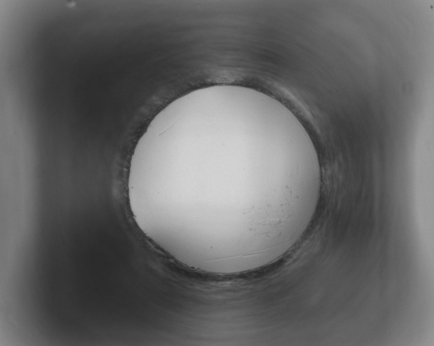 X0000102290307200807251006