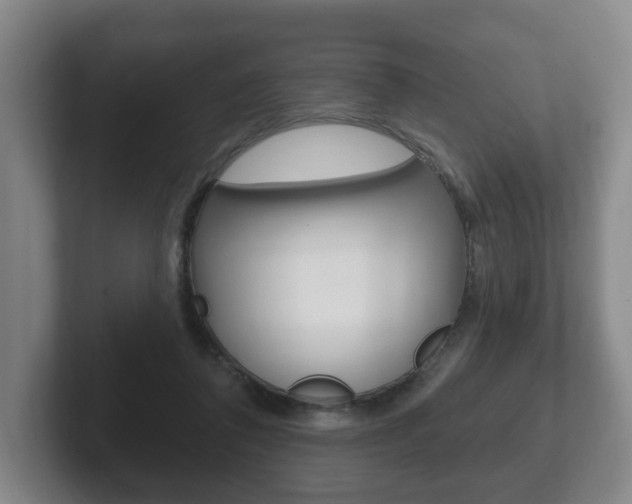 X0000102290308200807251006