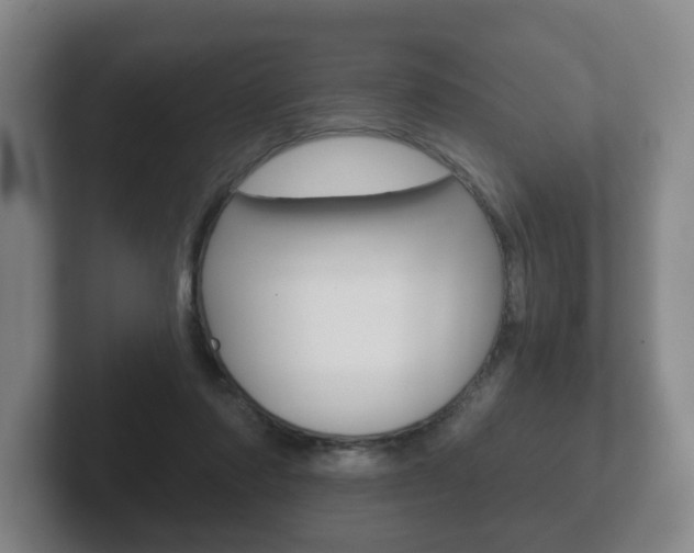 X0000102290310200807251006