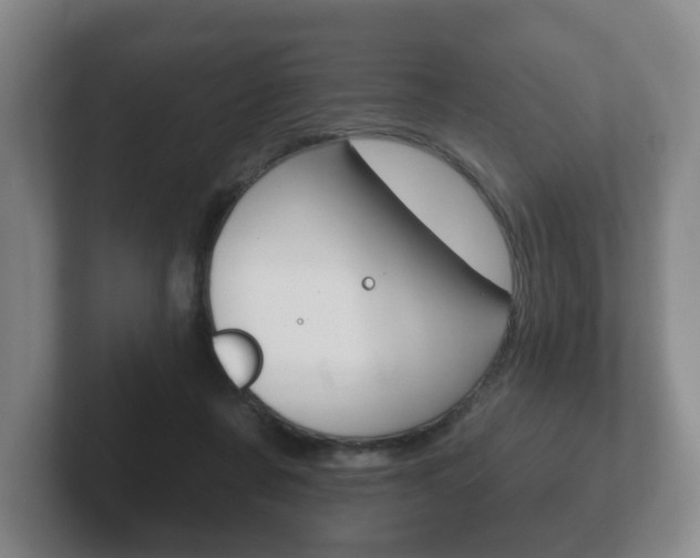 X0000102290311200807251006