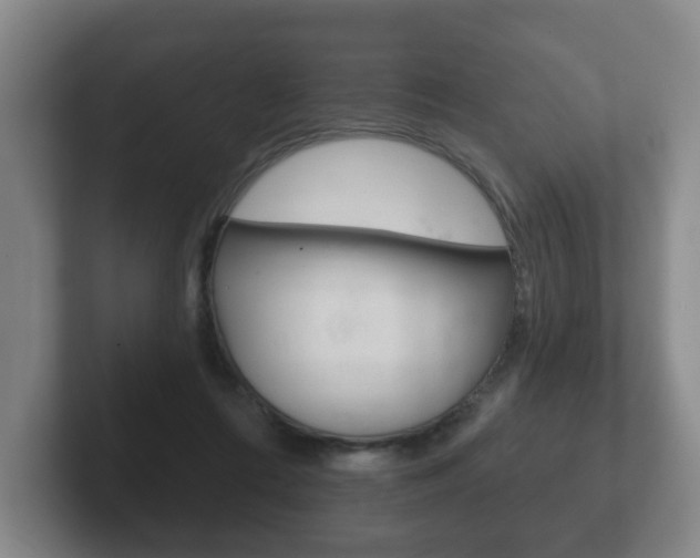 X0000102290312200807251006