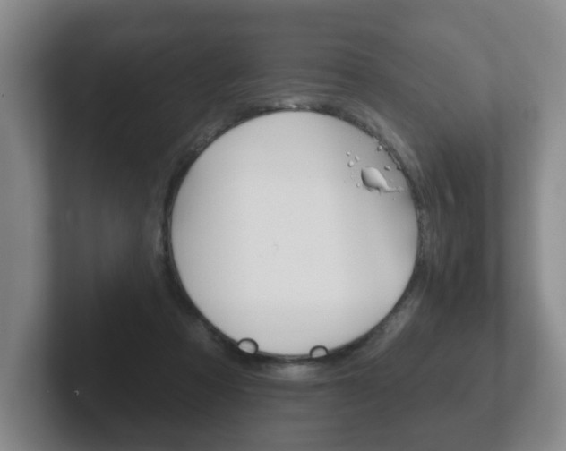 X0000102290313200807251006