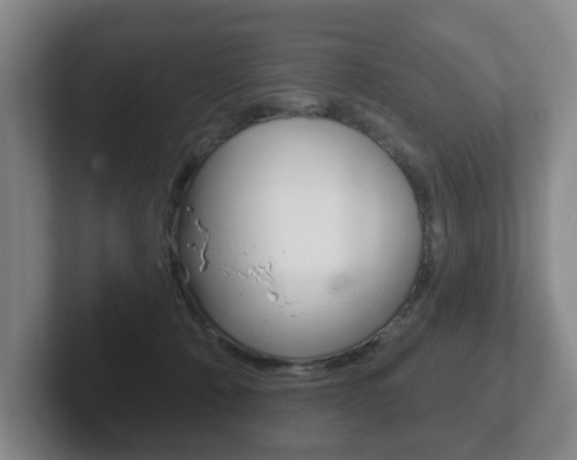 X0000102290320200807251006