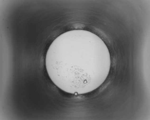 X0000102290321200807251006