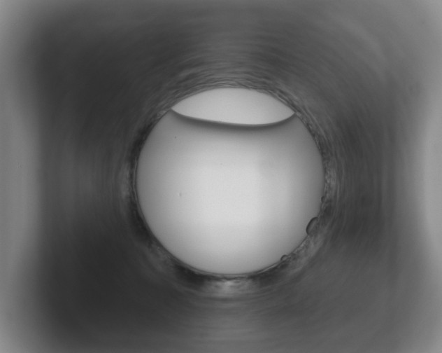 X0000102290323200807251006