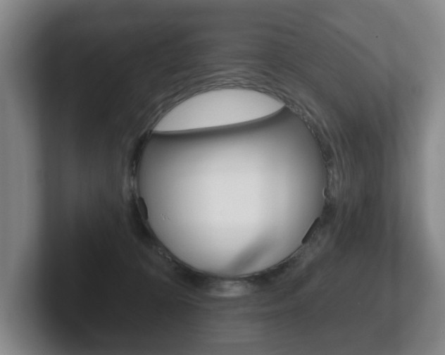 X0000102290324200807251006