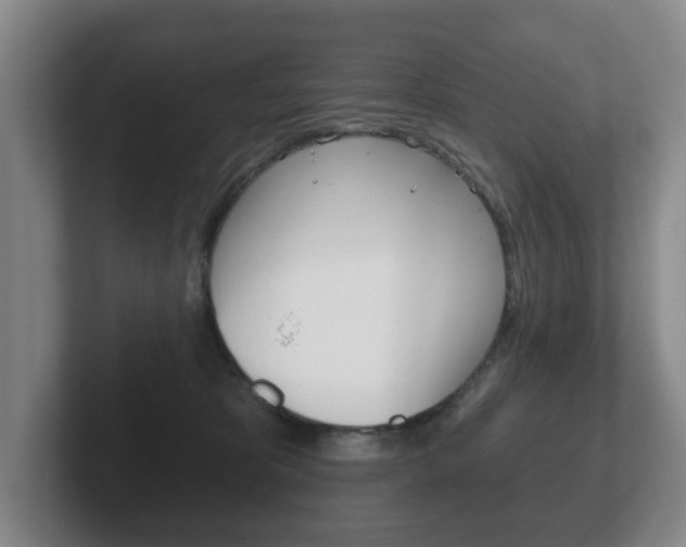 X0000102290325200807251006
