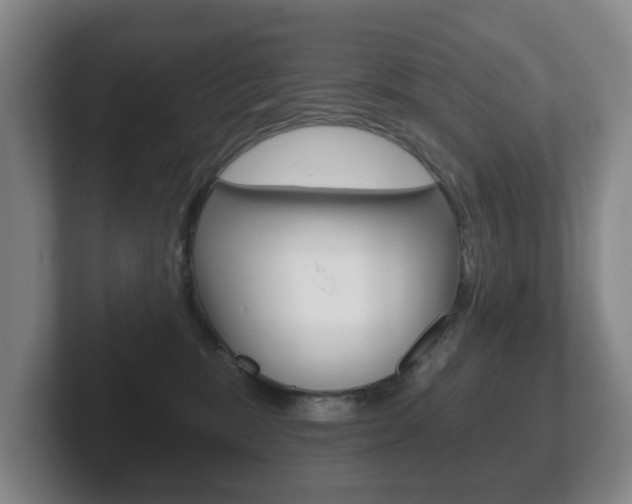 X0000102290327200807251006