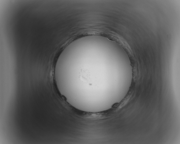 X0000102290329200807251006