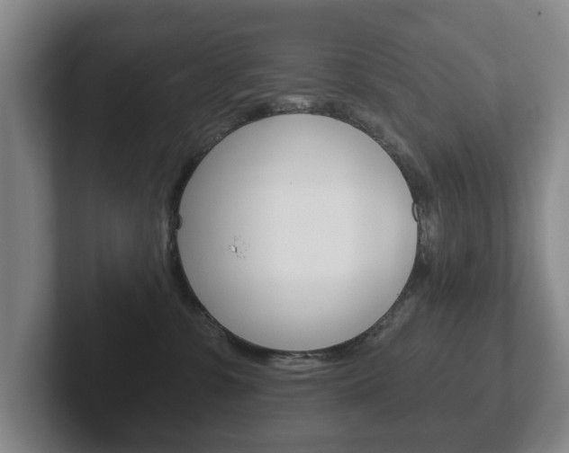X0000102290331200807251006