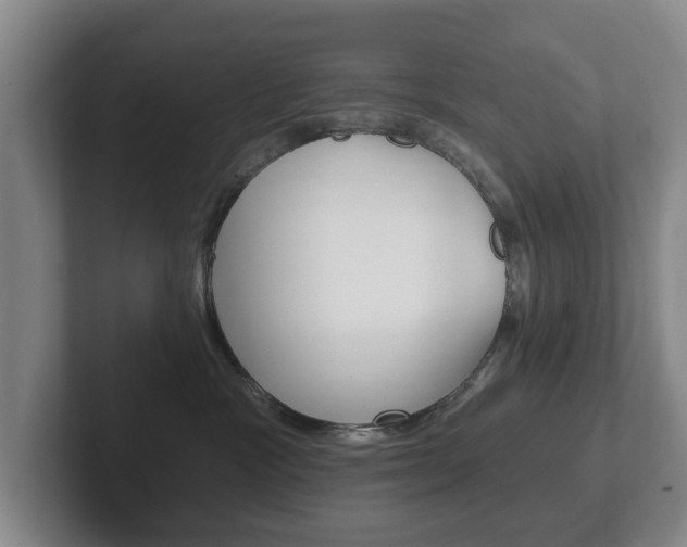 X0000102290333200807251006