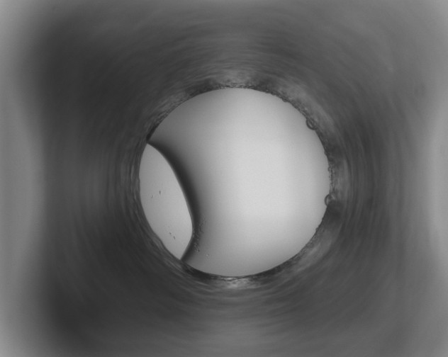 X0000102290334200807251006