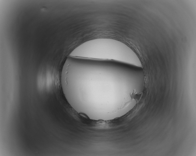 X0000102290335200807251006
