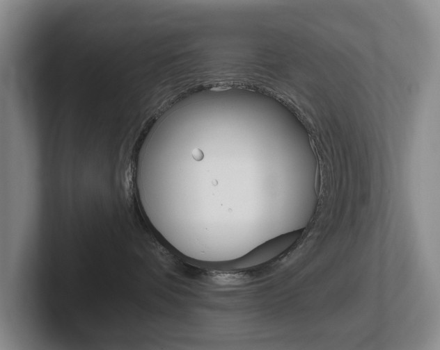X0000102290336200807251006