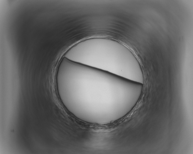 X0000102290337200807251005