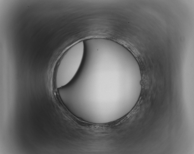 X0000102290338200807251005