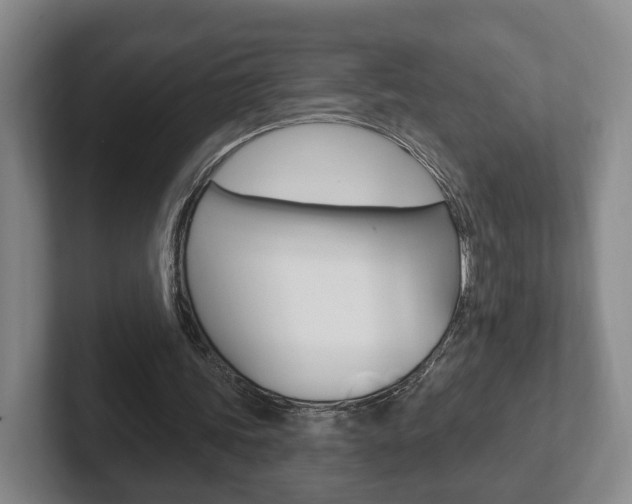 X0000102290339200807251005
