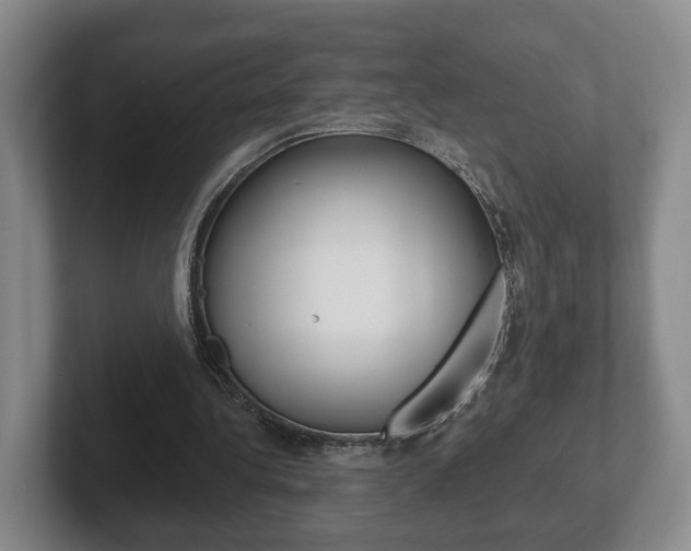 X0000102290340200807251005