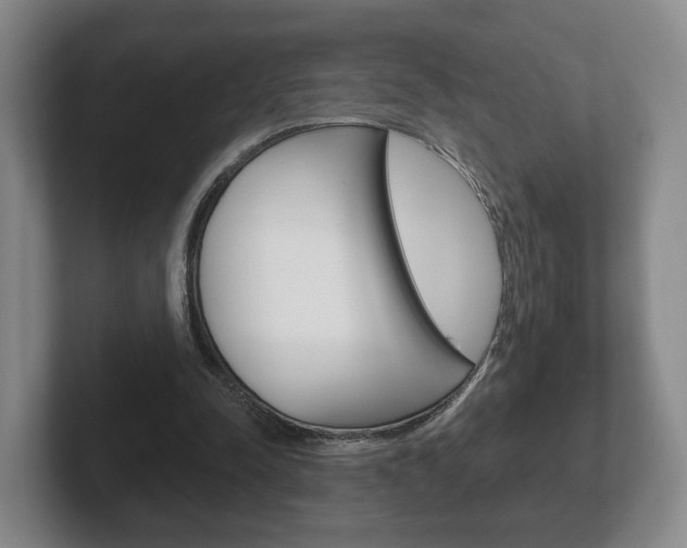 X0000102290342200807251005