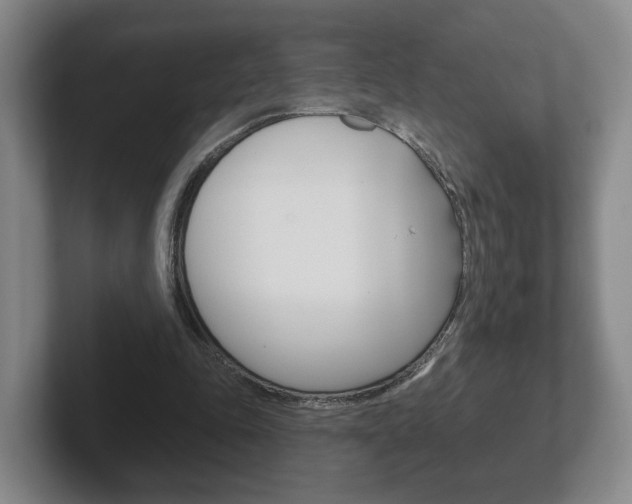 X0000102290343200807251005