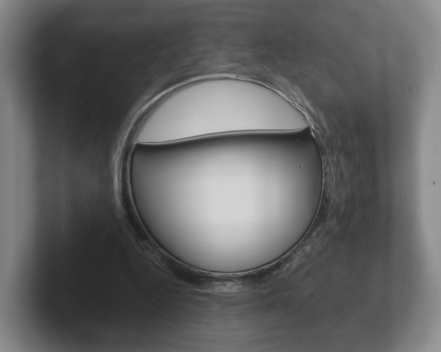 X0000102290344200807251005