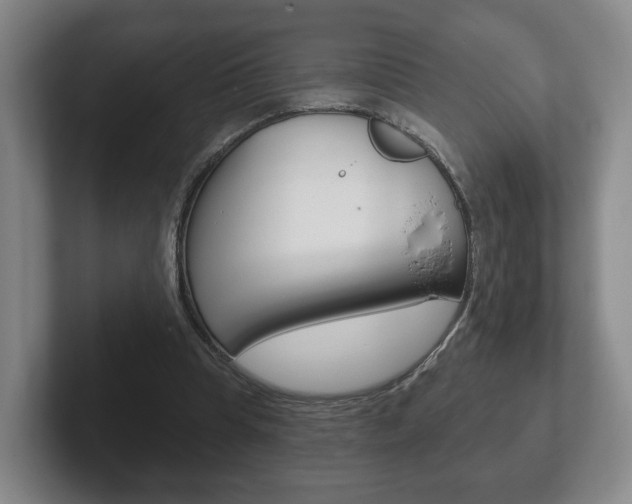 X0000102290345200807251005