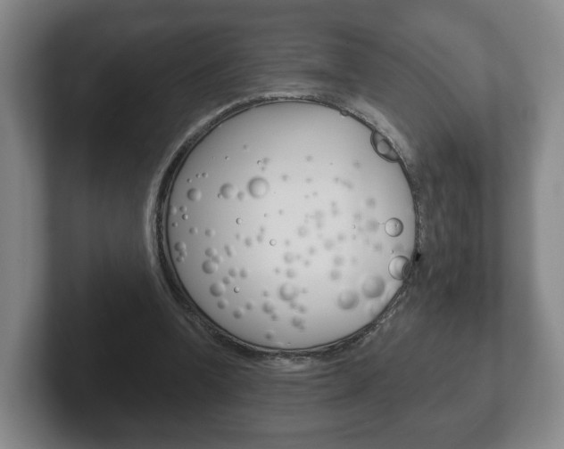 X0000102290346200807251005