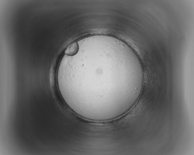 X0000102290347200807251005