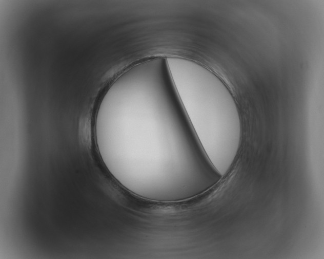 X0000102290349200807251005