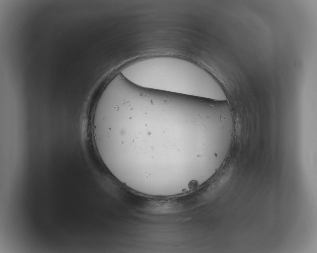 X0000102290351200807251006