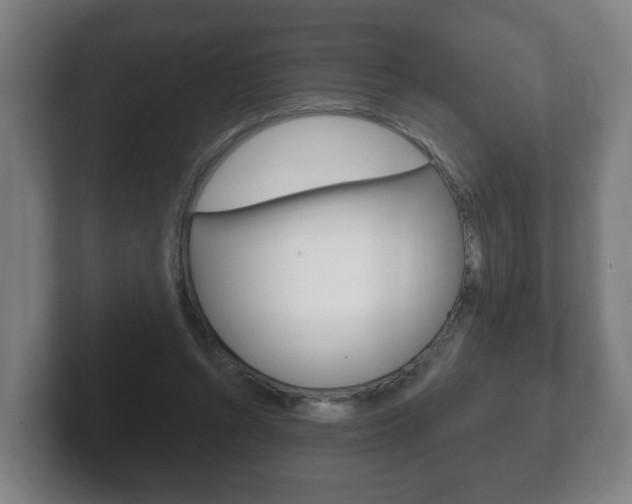 X0000102290352200807251006