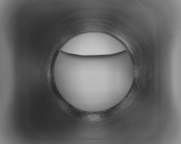 X0000102290353200807251006