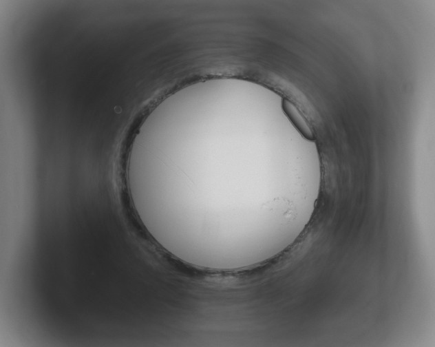 X0000102290354200807251006