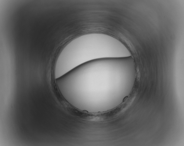 X0000102290356200807251006