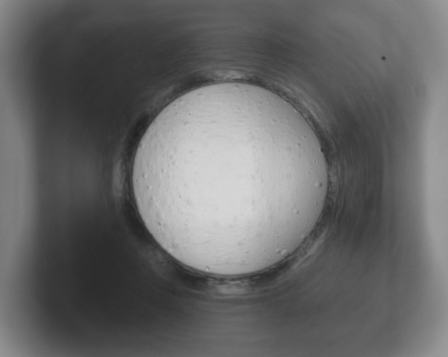 X0000102290359200807251006