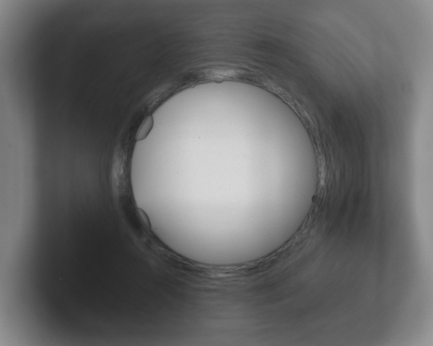 X0000102290360200807251006