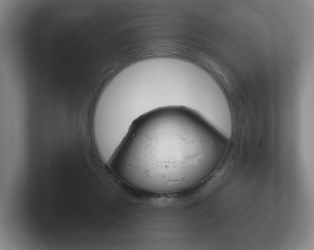 X0000102290362200807251006