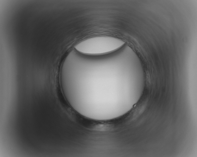X0000102290364200807251006