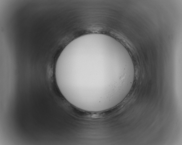 X0000102290365200807251006