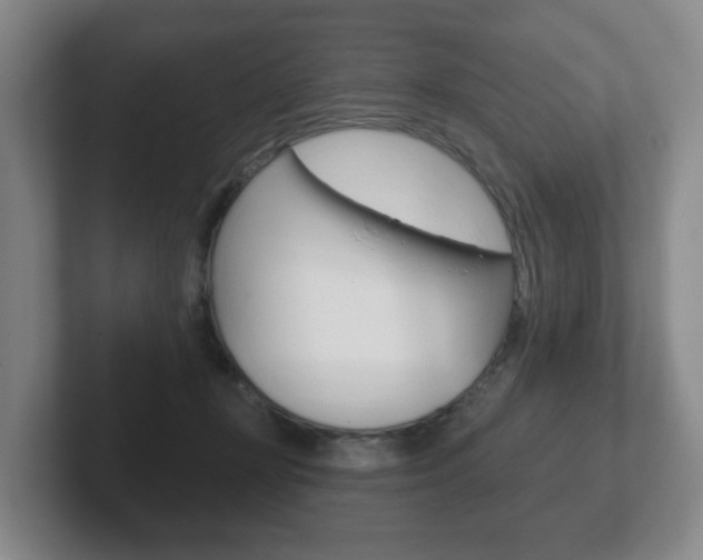 X0000102290367200807251006
