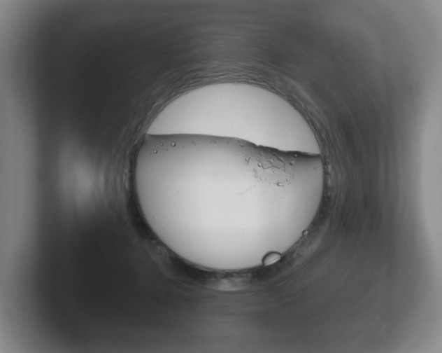 X0000102290368200807251006