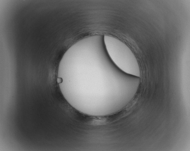 X0000102290369200807251006