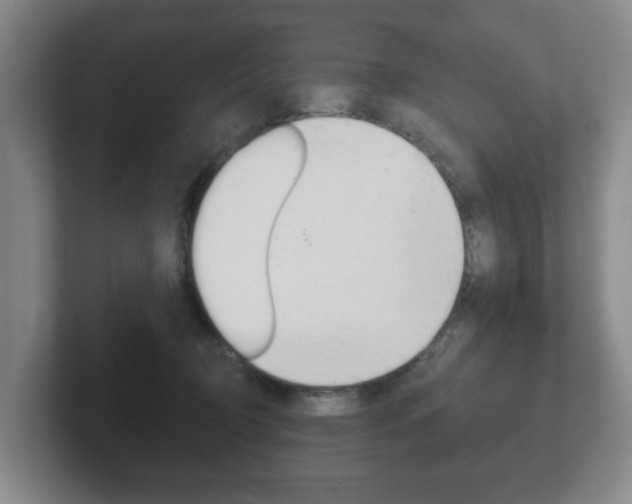 X0000102290370200807251006