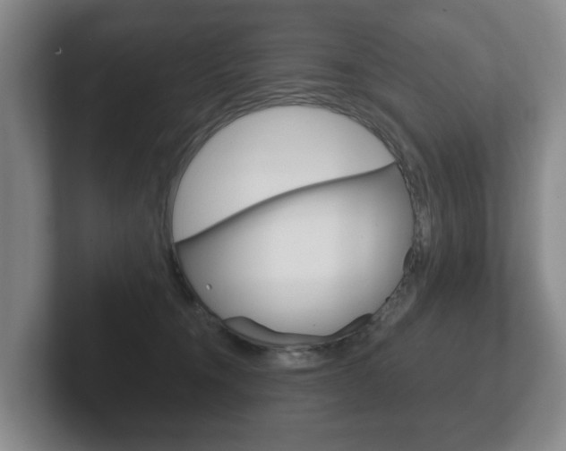 X0000102290372200807251006
