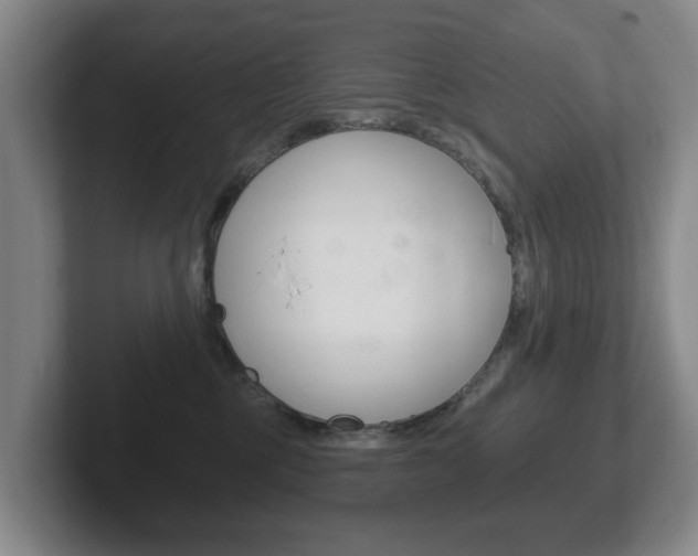 X0000102290377200807251006