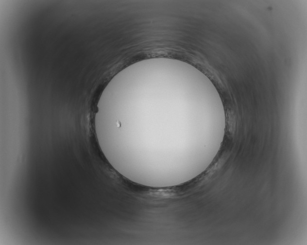 X0000102290378200807251006